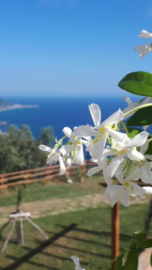 Tenuta Belvedere Cilento Montecorice Exterior foto